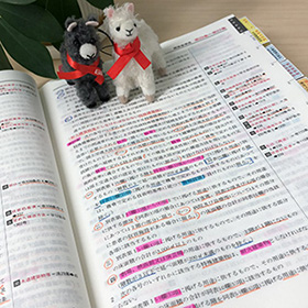 線引きした法令集